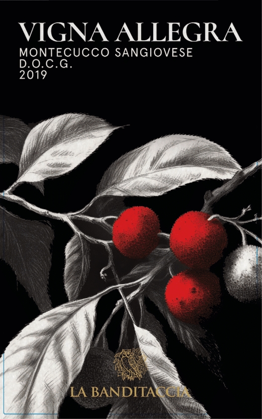 Vigna Allegra